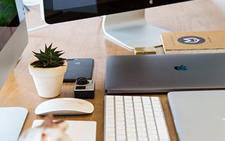 米乐app：让日常成为一场有温度的仪式